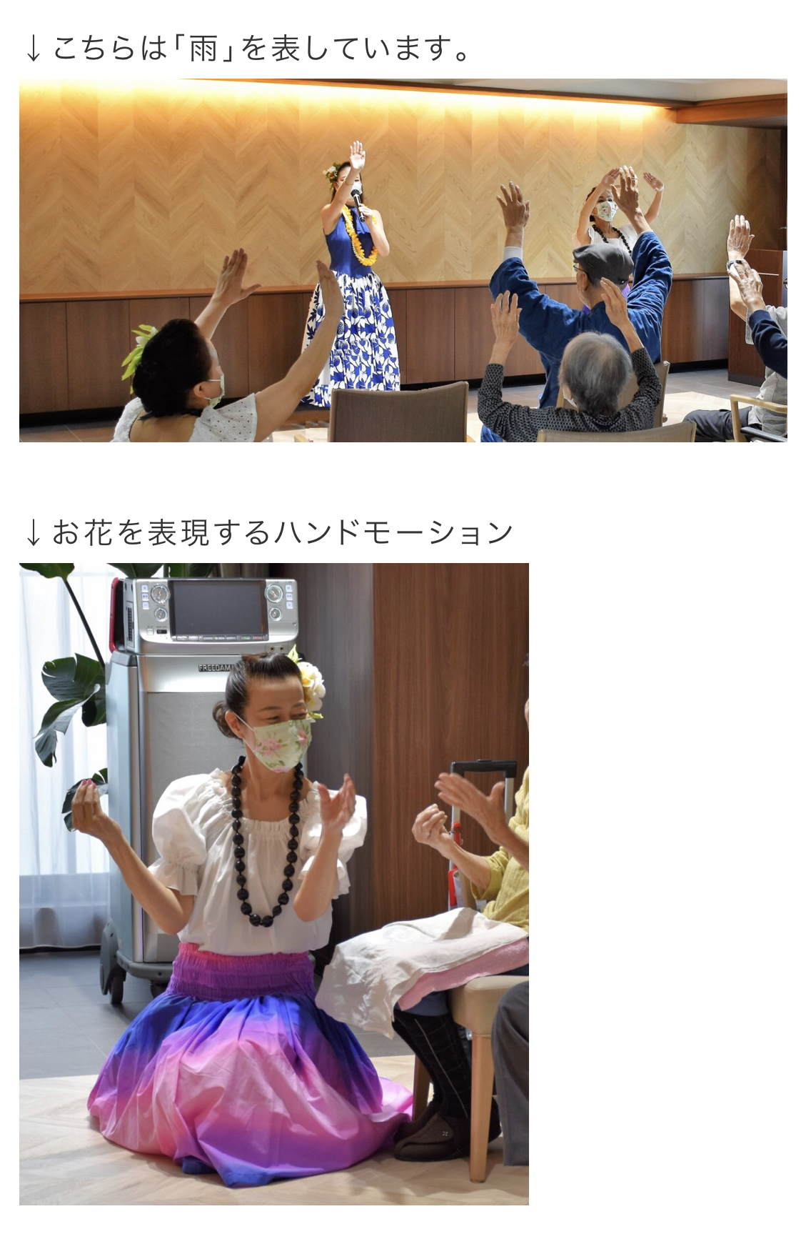 認定インストラクターの活動の様子